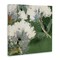 Stupell Industries Green & White Botanicals Canvas Wall Art Design by Liz Jardine